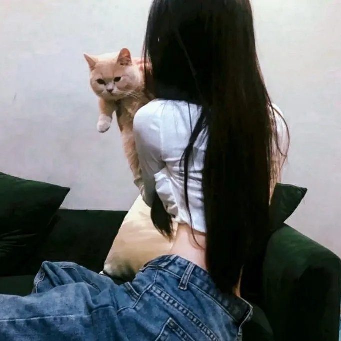 舒梅特琳恩